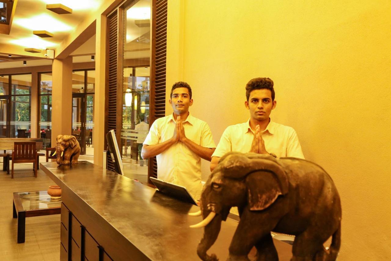 Hotel Oak Ray Wild Yala Tissamaharama Zewnętrze zdjęcie