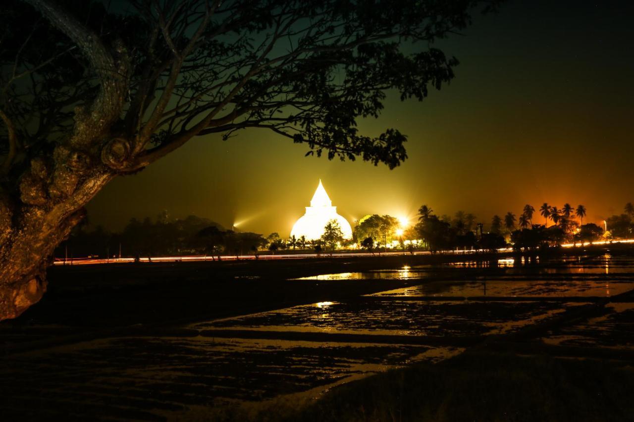 Hotel Oak Ray Wild Yala Tissamaharama Zewnętrze zdjęcie